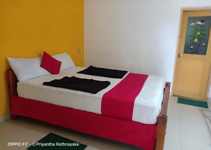 Ella Forest Paradise Hotel